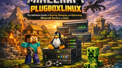 Minecraft PlugboxLinux